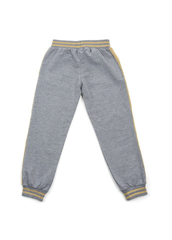 Комбінований демісезонний набір дитячого одягу із золотими лампасами (12986-134g-gray) Breeze