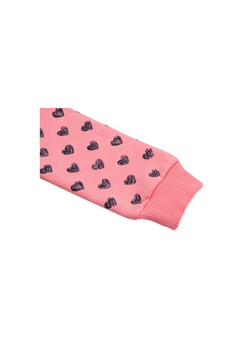 Комбинированный демисезонный набор детской одежды кофта с брюками с котиком и бантиком (8271-104g-pink) Breeze