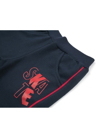 Сірий демісезонний набір дитячого одягу "good skate" (13263-98b-gray) Breeze