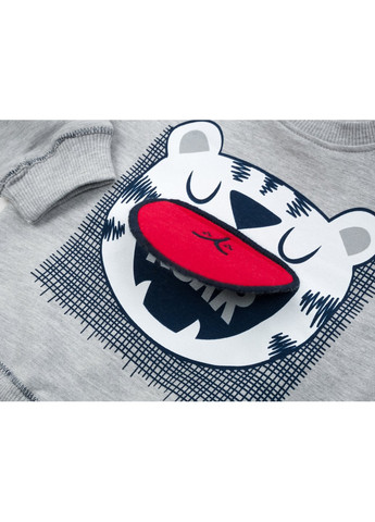 Сірий демісезонний набір дитячого одягу з тигриком (13251-80b-gray) Breeze