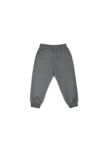 Серый демисезонный набор детской одежды "new york" (11654-116b-gray) Breeze