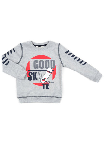 Серый демисезонный набор детской одежды "good skate" (13263-116b-gray) Breeze