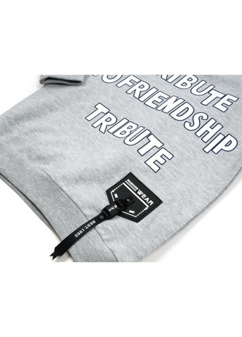 Серый демисезонный набор детской одежды "friendship" (14775-110b-gray) Breeze