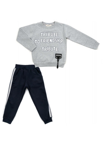 Серый демисезонный набор детской одежды "friendship" (14775-110b-gray) Breeze