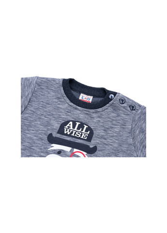 Голубой демисезонный набор детской одежды с собачкой в шляпе (8713-80b-blue) Breeze