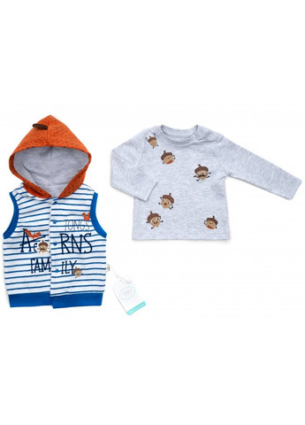 Голубой демисезонный набор детской одежды с жилетом (2824-80b-blue) Tongs