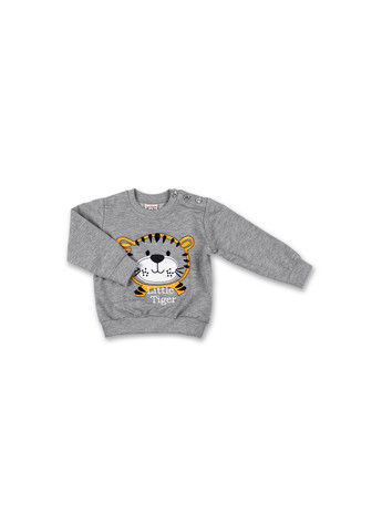 Сірий демісезонний набір дитячого одягу з тигриком (7214-86/b-gray) Breeze