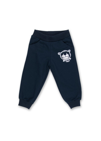 Сірий демісезонний набір дитячого одягу з тигриком (7214-86/b-gray) Breeze