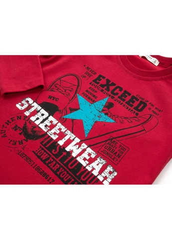 Кофта "STREETWEAR" (13822-128B-red) Breeze (257204482)