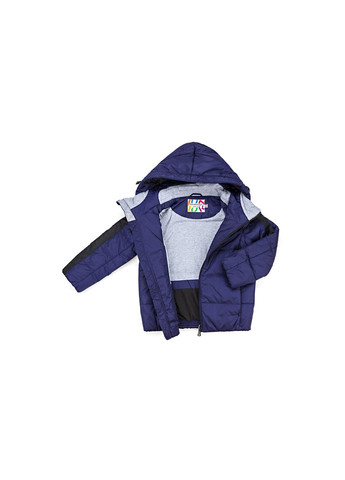 Голубая демисезонная куртка с капюшоном (sicmy-g306-110b-blue) Snowimage