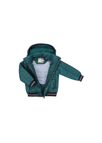 Зелена демісезонна куртка з капюшоном на манжетах (sicmy-g308-110b-green) Snowimage