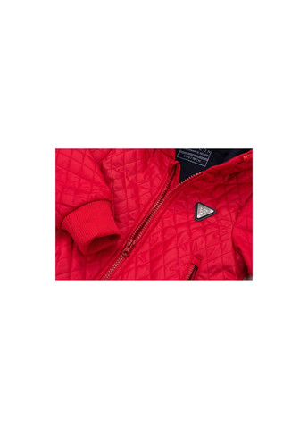 Красная демисезонная куртка стеганая с капюшоном (3439-110b-red) Verscon