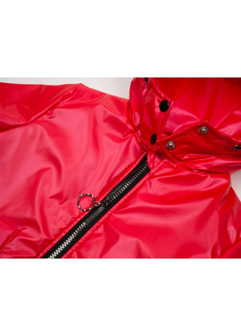 Красная демисезонная куртка "miracle" (20708-116g-red) Brilliant