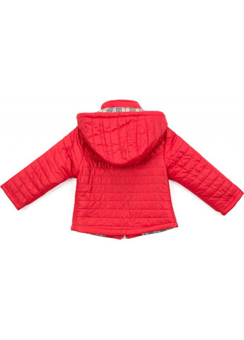 Красная демисезонная куртка стеганая (3174-110g-red) Verscon