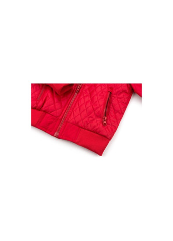 Красная демисезонная куртка стеганая с капюшоном (3439-122b-red) Verscon