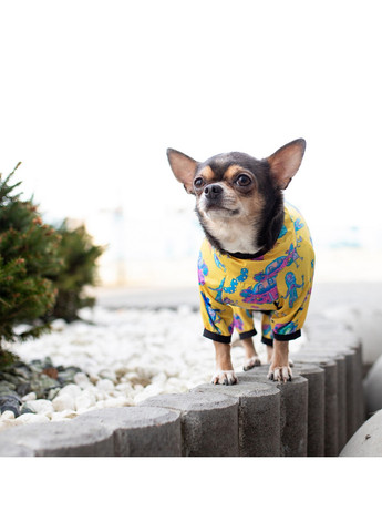 Куртка-дождевик для собак рисунок "Рик и Морти 3" XS22 WAUDOG (257250979)