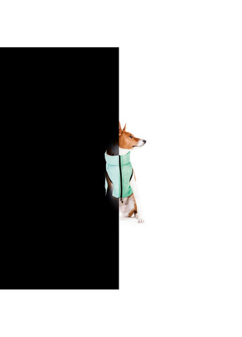 Куртка-ветровка для собак двостороння, що світиться XS25 Airy Vest (257250987)