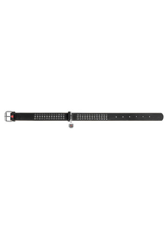 Стильный ошейник для собак кожаный с QR паспортом, металлические украшения XL WAUDOG (257247587)