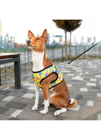 Підтримуюча шлейка для собак м'яка з QR-паспортом, малюнок "Рік та Морті 3" S1 WAUDOG (257247186)