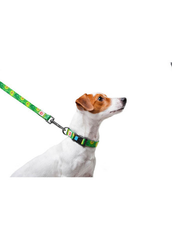 Стильний повідець для собак нейлоновий малюнок "Авокадо" 122х2 см WAUDOG (257247867)