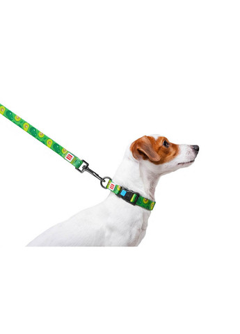 Стильний повідець для собак нейлоновий малюнок "Авокадо" 122х2 см WAUDOG (257247867)