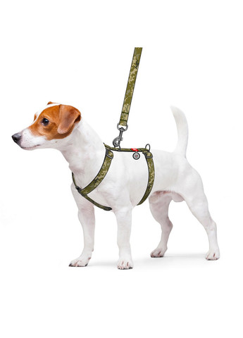 Підтримуюча шлейка для собак анатомічна H-подібна з QR-паспортом, малюнок "Мілітарі" M WAUDOG (257246515)
