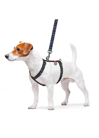 Підтримуюча шлейка для собак анатомічна H-подібна з QR-паспортом, малюнок "Інді" L WAUDOG (257246820)
