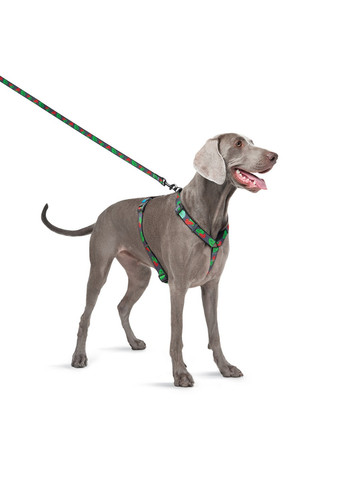 Підтримуюча шлейка для собак анатомічна H-подібна з QR-паспортом, малюнок "Калина" L WAUDOG (257247037)