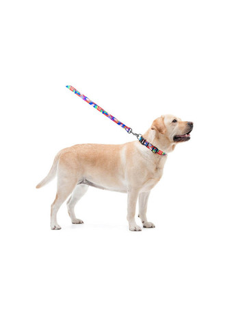 Стильний повідець для собак нейлоновий малюнок "Вітраж" 122х2 см WAUDOG (257249998)