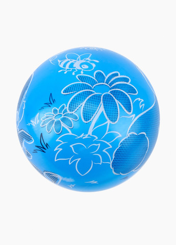 Мяч "Цветы" N-25-5 BL No Brand (257265960)