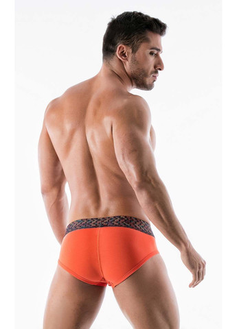 Трусы Geronimo 1952s2 19524 (257296138)