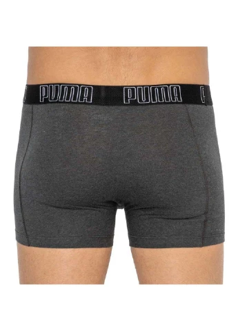 Трусы Puma Big Logo AOP Boxer 2-pack (257339892)