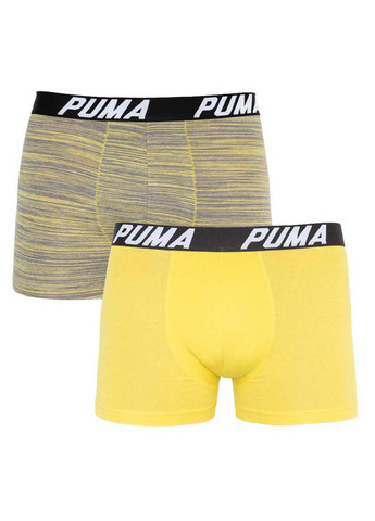 Трусы Puma bold stripe boxer 2-pack (257339890)