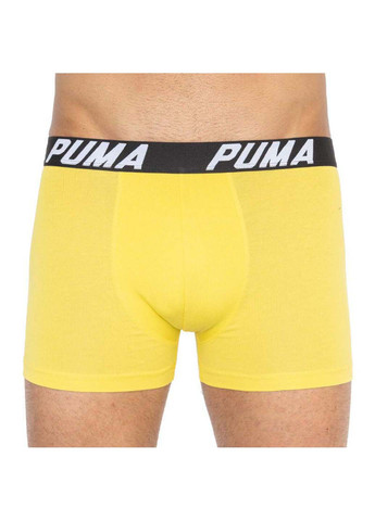Трусы Puma bold stripe boxer 2-pack (257339887)
