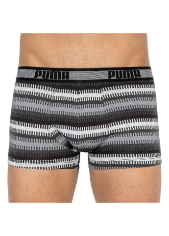 Трусы Puma Worldhood Stripe Trunk 2-pack (257339876)