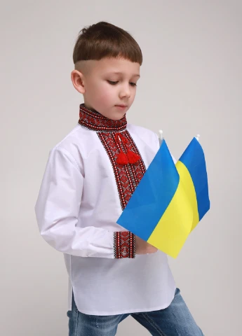 Комбинированная рубашка с вышивкой Козачок (257491455)