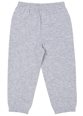 Светло-серые спортивные зимние брюки Slazenger