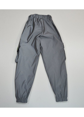 Серебряные кэжуал демисезонные брюки A-yugi
