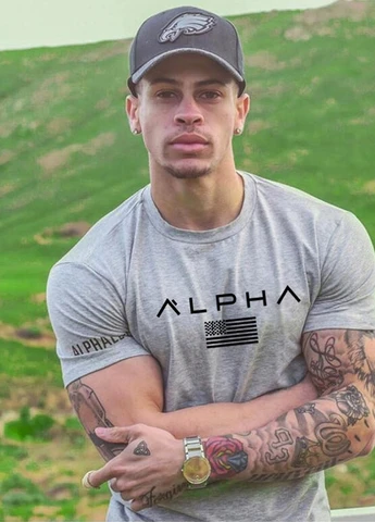 Серая мужская футболка Alpha