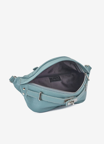 Сумка шкіряна жіноча (бананка) на пояс Regina Notte (257690091)