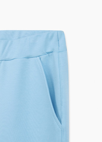 Голубые повседневный демисезонные брюки No Brand