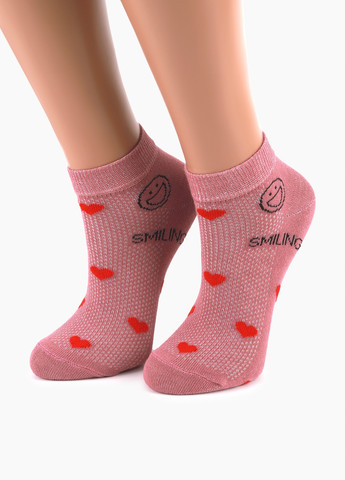 Шкарпетки Ceburashka (257717485)