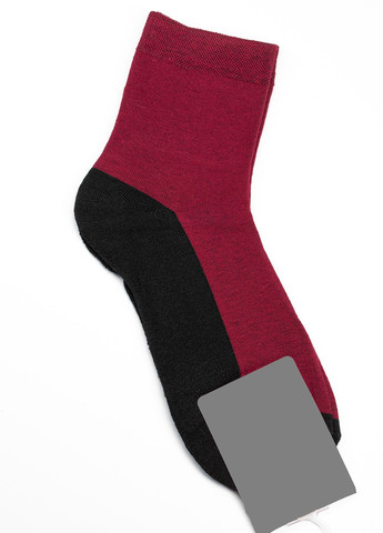 Шкарпетки жіночі ISSA PLUS ns-226 (257716886)