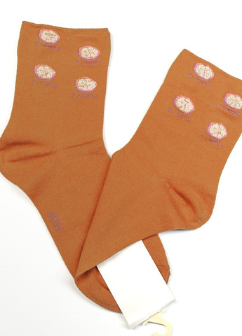 Шкарпетки жіночі ISSA PLUS ns-111 (257716815)