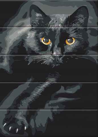 Картина по номерам на дереве "Кіт у темряві" 30х40 см ArtStory (257748555)