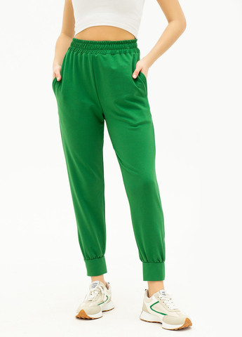 Зеленые спортивные демисезонные джоггеры брюки ISSA PLUS