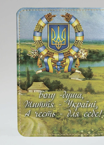 Обкладинка на паспорт громадянина України закордонний паспорт Козак з булавою (еко-шкіра) українець українця патріот Po Fanu (257985284)