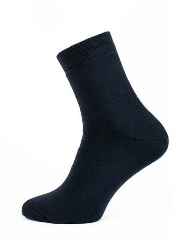 Шкарпетки мужские плюш 2051 GoSocks середня висота (258000250)