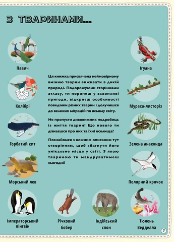 Атлас тварин - Емілі Хокінс, Рейчел Вільямс Книга гігантського розміру Книголав (258024065)
