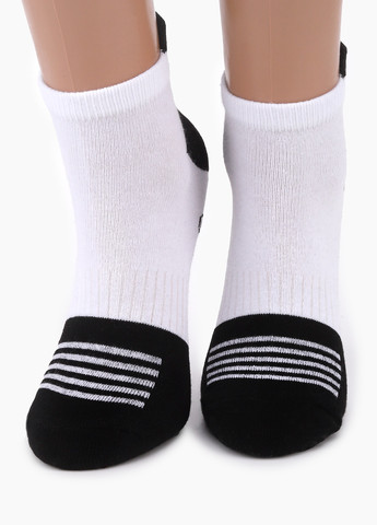 Шкарпетки No Brand (258024389)